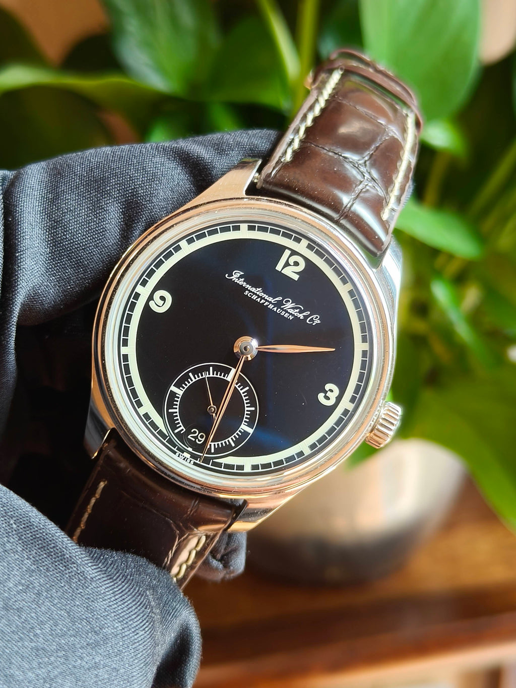 IWC Portugieser IW510205 75th anniversary limited edition watch only