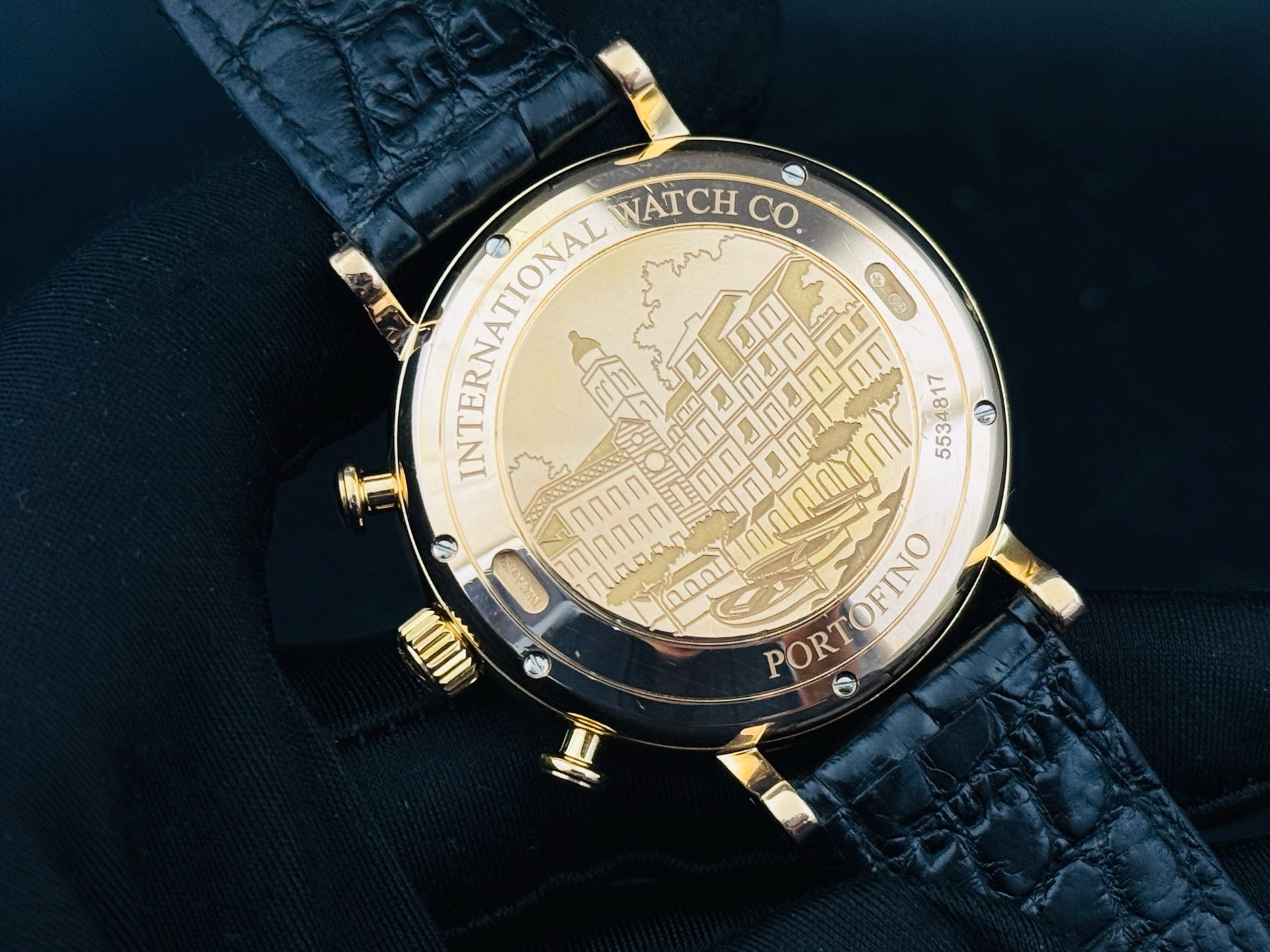 IWC Portofino IW391020 watch only