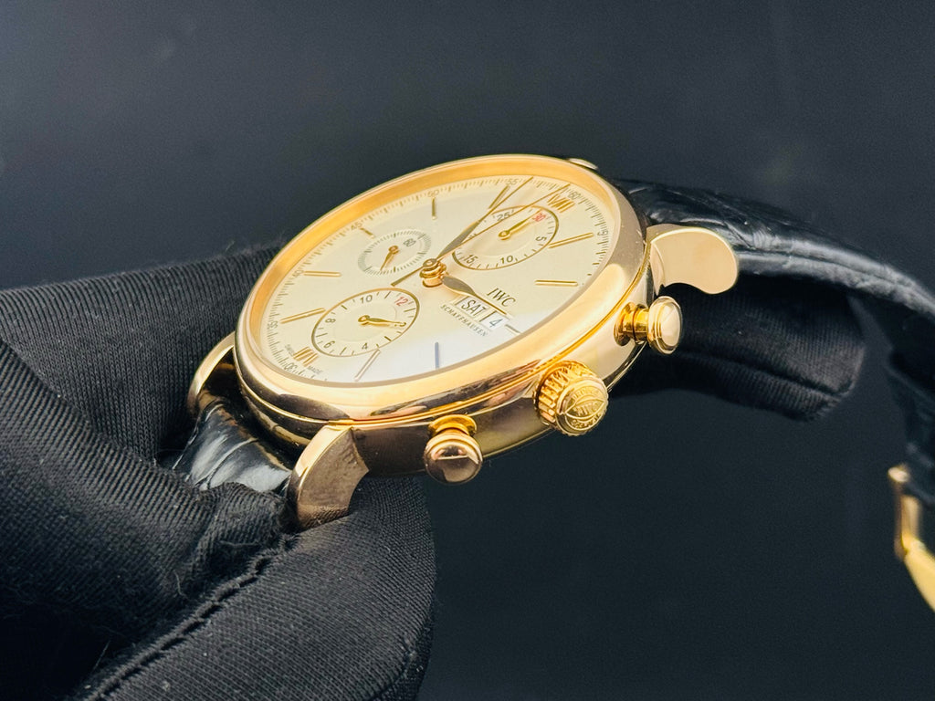 IWC Portofino IW391020 watch only