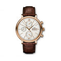 IWC Portofino IW391020 watch only